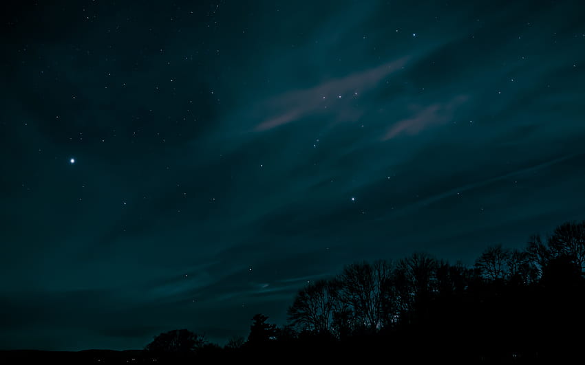 ต้นไม้ ท้องฟ้า ดวงดาว กลางคืน มืด วอลล์เปเปอร์ HD