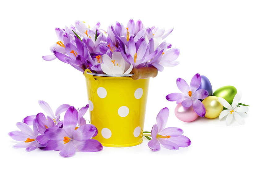 Krokus Kwiaty, bukiet, krokus, Wielkanoc, kwiaty, jajka Tapeta HD