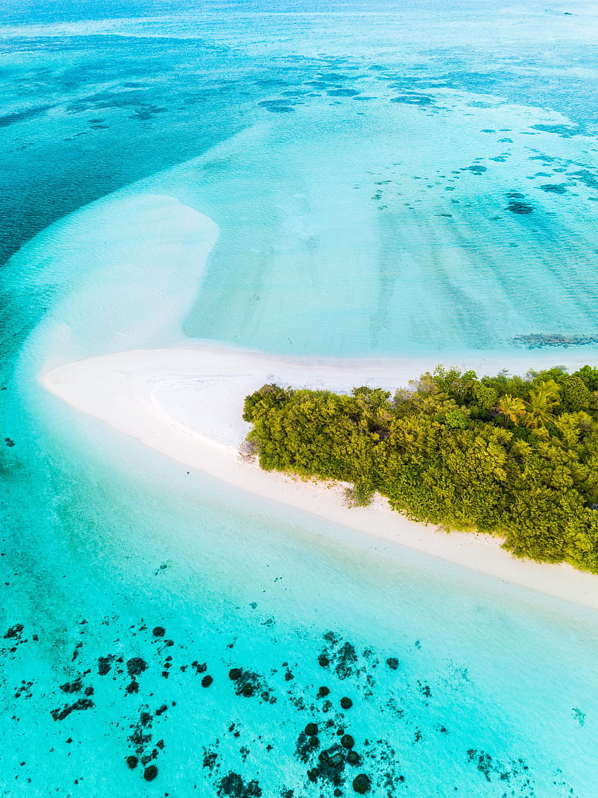 Nature, Beach, Palms, View From Above, Ocean, Tropics, Island HD phone wallpaper
