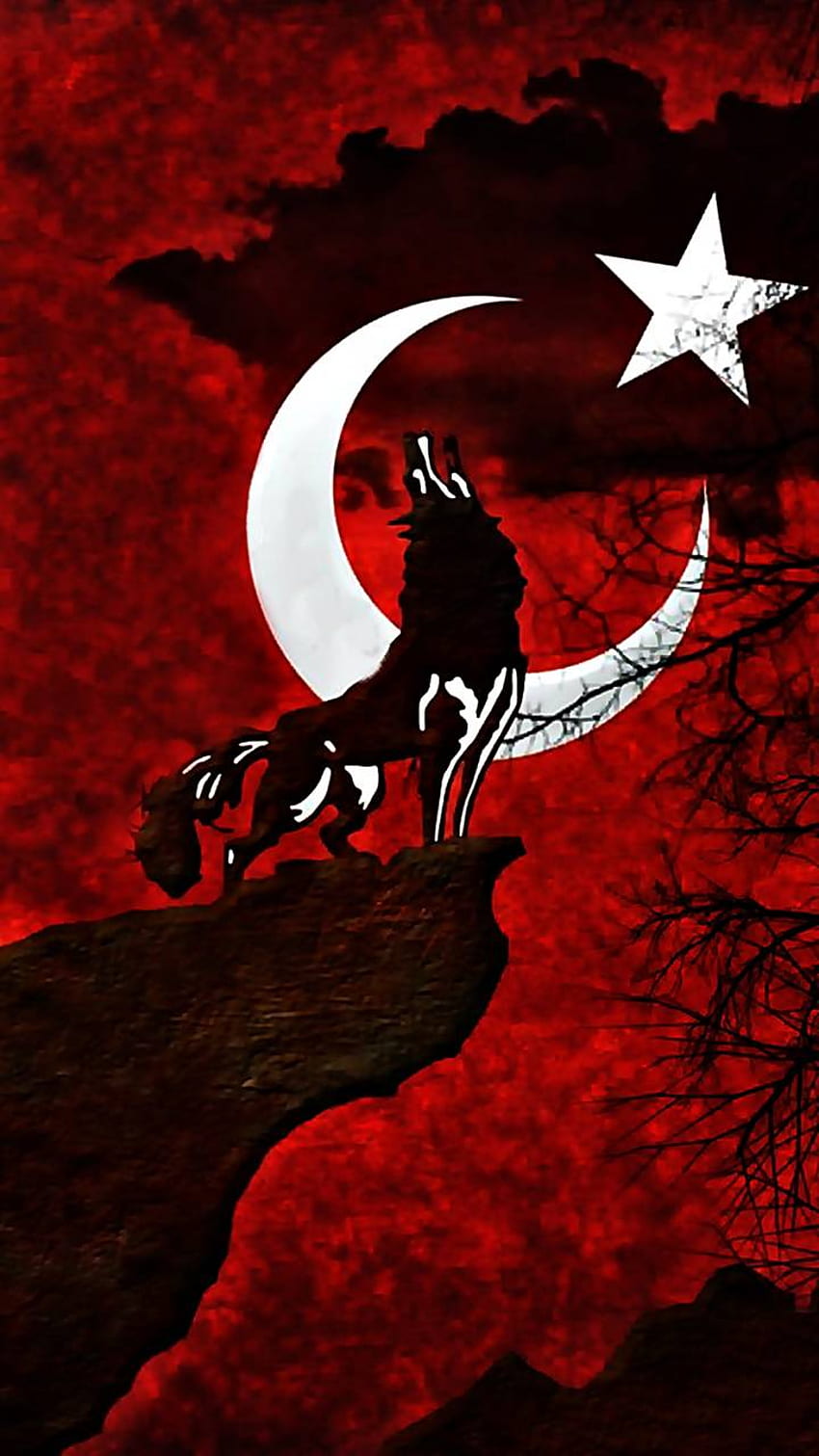 Turchia bandiera lupo, bandiera turca Sfondo del telefono HD