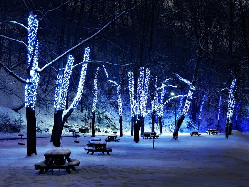 night lights, nature, lights, snow HD wallpaper