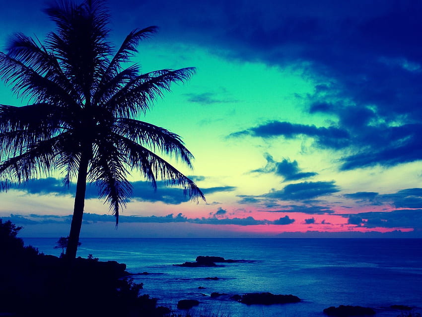 美しい海の夕日。 ビーチ、青い夕日、ビーチ、カラフルなビーチの夕日 高画質の壁紙