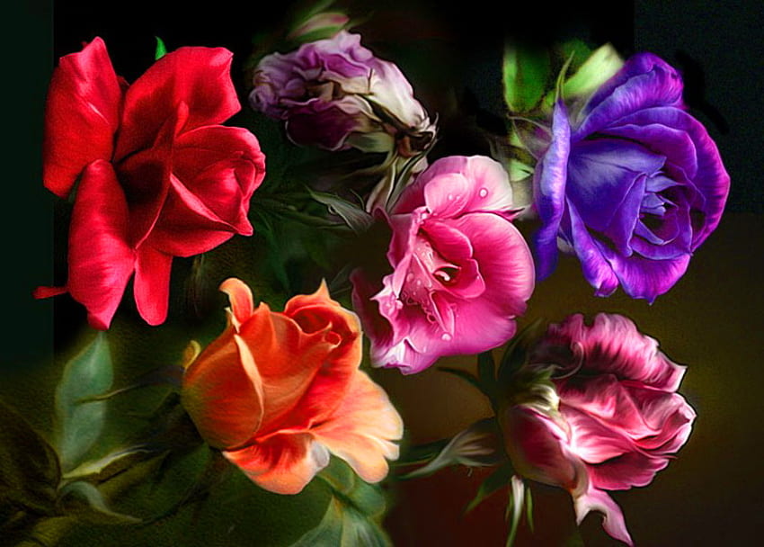 Sztuka róży, niebieski, róże, kolory, pomarańczowy, fioletowy, różowy, jasny, zielony, czerwony, kwiaty Tapeta HD