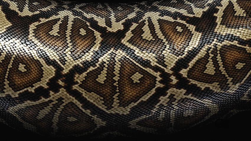 Patterns, Texture, Textures, Snake, Scales, Scale HD wallpaper