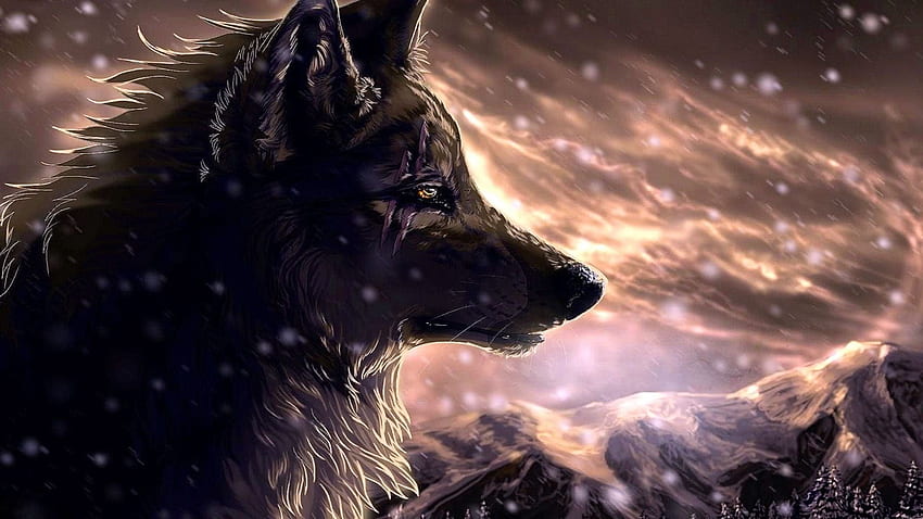 awesome wolf wallpapers hd