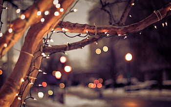 Hãy khám phá những hình nền Giáng sinh với chất lượng HD trên Pinterest để ngập tràn trong không khí lễ hội. Thỏa sức khoe sắc màn hình của bạn với những hình ảnh đầy màu sắc, sống động và thật tuyệt vời. Hãy cùng xem và cảm nhận niềm vui của mùa Giáng sinh tràn đầy nơi mọi người.