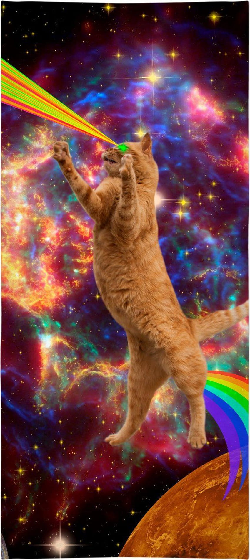 ROBT SPACE CAT. Space cat, Cat , Cats, LSD Cats HD phone wallpaper