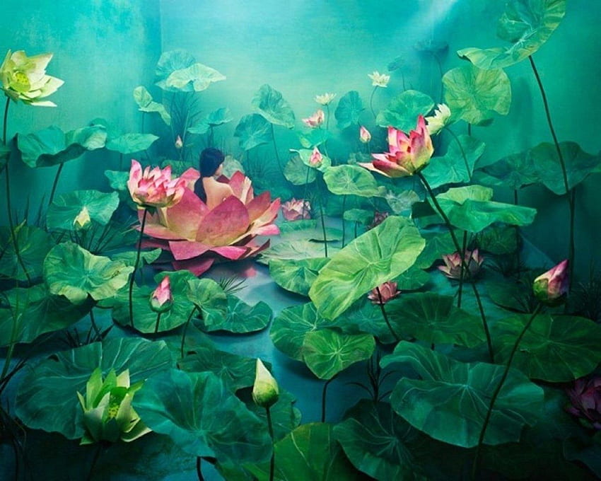 Flowers: Art Leaves Flowers Lotus Flower For HD wallpaper