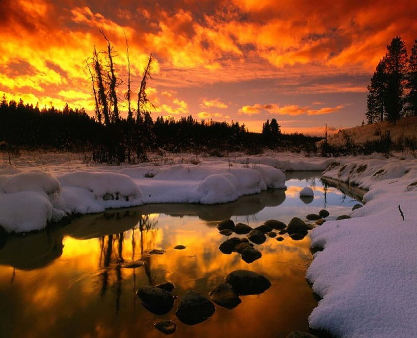 Raven Creek Sunset, rivière, couchers de soleil, orange, rose, neige, arbres, nature, ciel, glace Fond d'écran HD