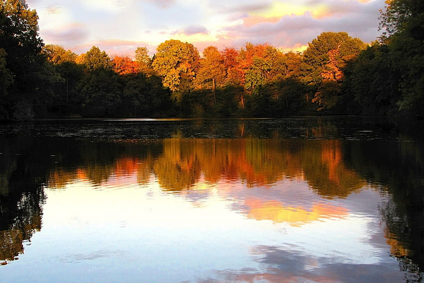 Вечерно слънце, отражение, дървета, есен, природа, слънце, гора, езеро HD тапет