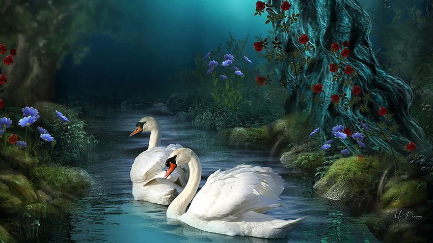 Swan Fantasy Forest, birds, woods, mystical, lake, swans, fantasy, magical, mates, forest, pond HD wallpaper
