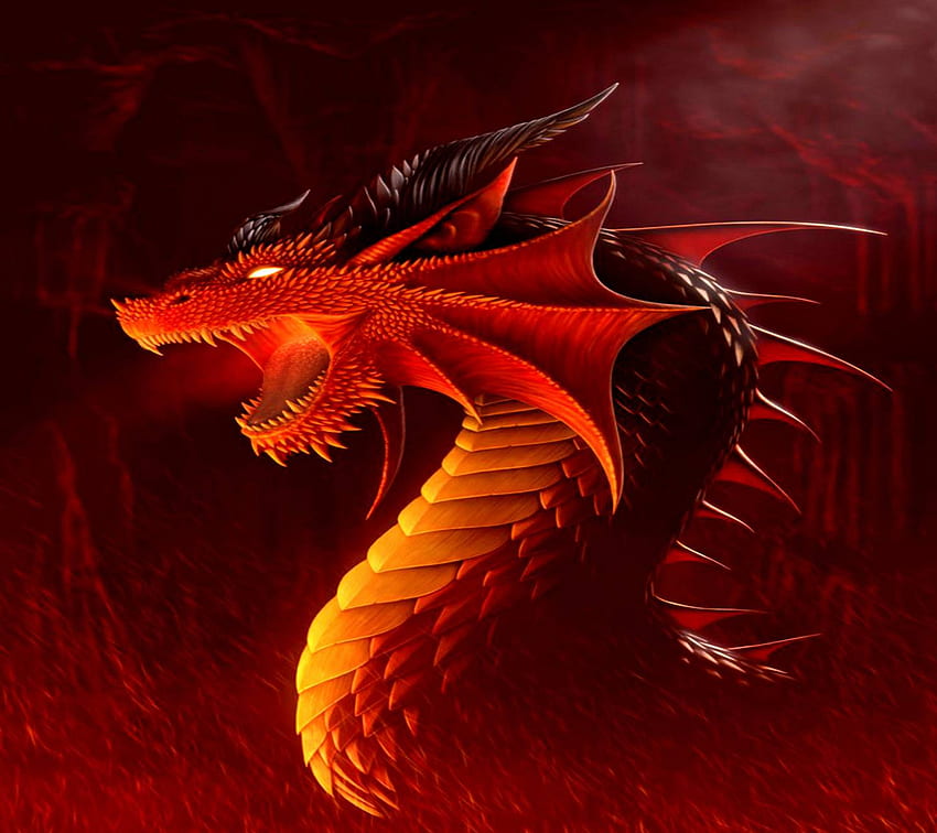 Fire Red Dragon, Black Fire Dragon HD wallpaper
