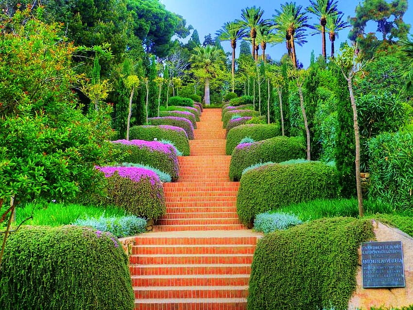 Stairway through spring, stairway, plants, bushes, trees, flowers HD wallpaper