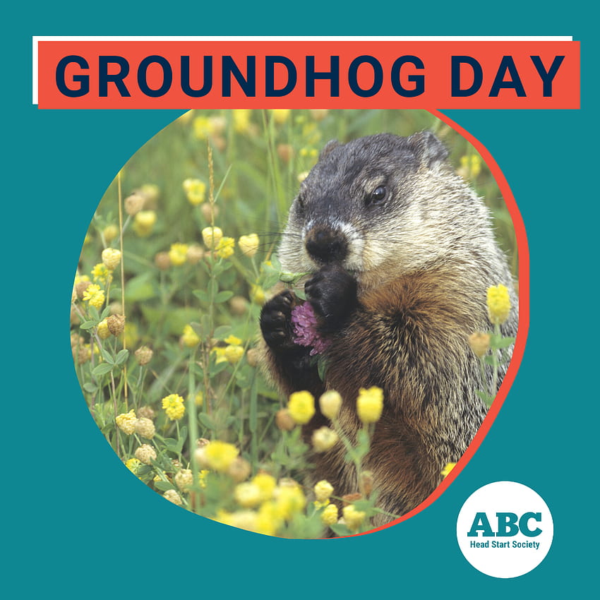 Groundhog Day, Happy Groundhog Day HD phone wallpaper Pxfuel