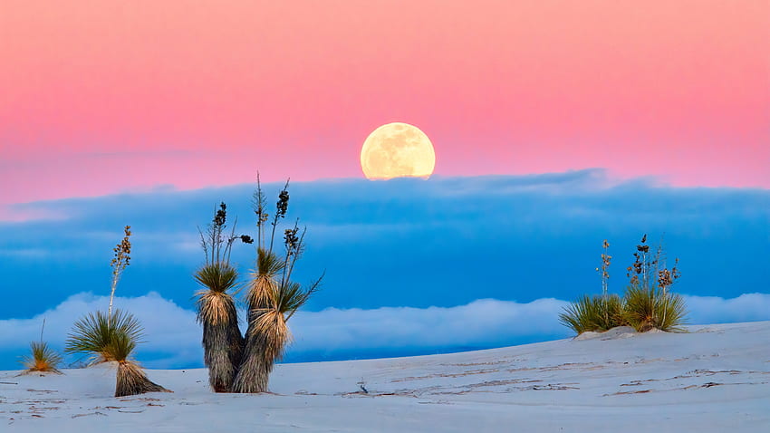 White Sands National Park, New Mexico Ultra . Background, New Mexico Landscape HD wallpaper