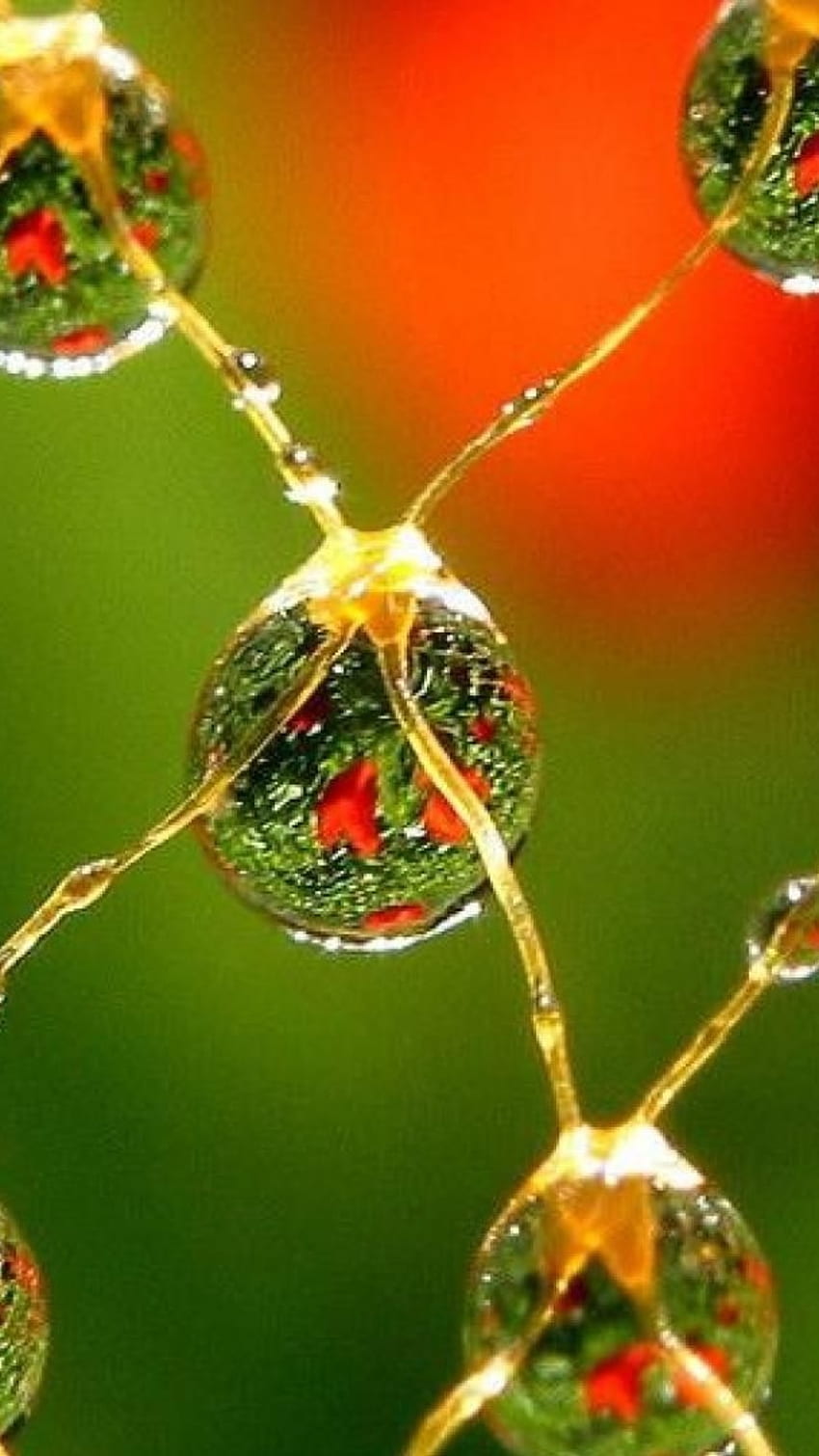 Water Drop Notch, Beautiful Nature, beautiful, nature, green HD phone  wallpaper | Pxfuel