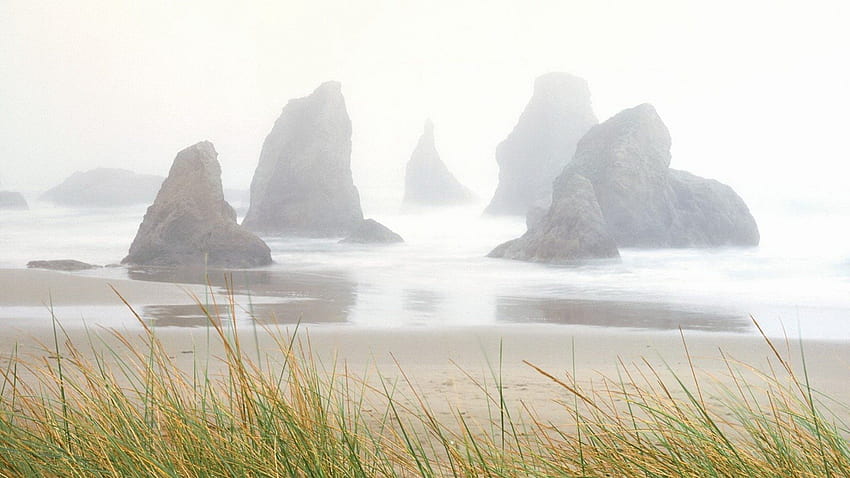 beautiful rocky beach in fog, sea, fog, grass, rocks, beach HD wallpaper