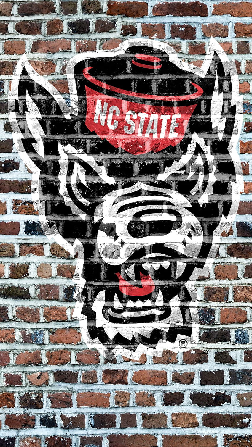 NC State Dave From Carter Finley HD phone wallpaper