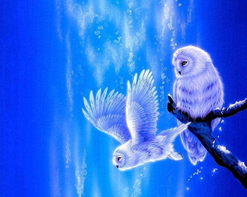 Independence, blue, owls, love four seasons, summer, animals, attractions in dreams, blue dreams, paintings HD wallpaper