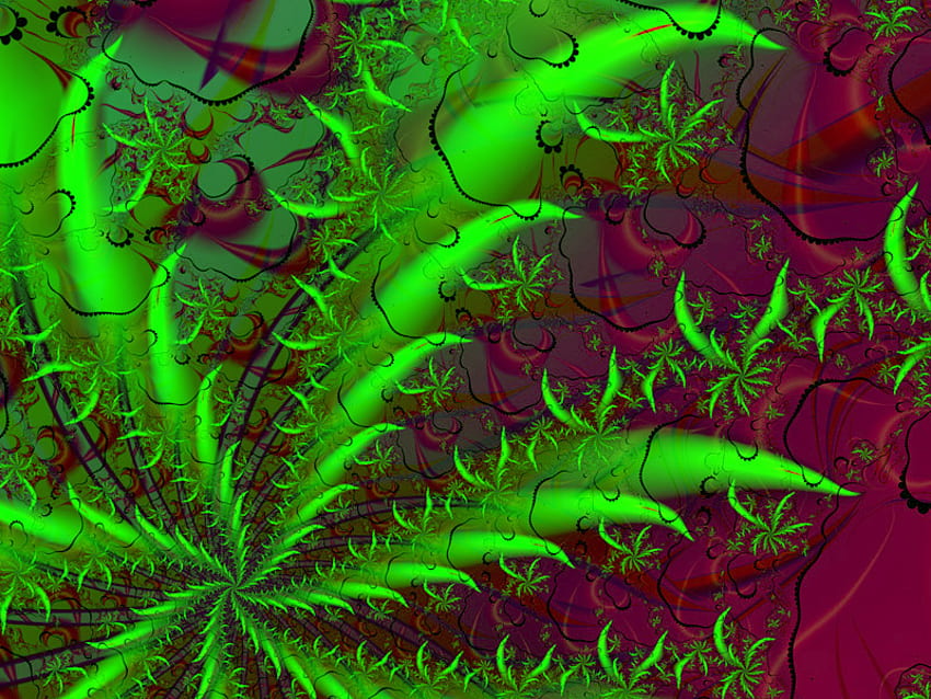 PLANTA ABSTRACT, planta, abstracto, vino, verde fondo de pantalla