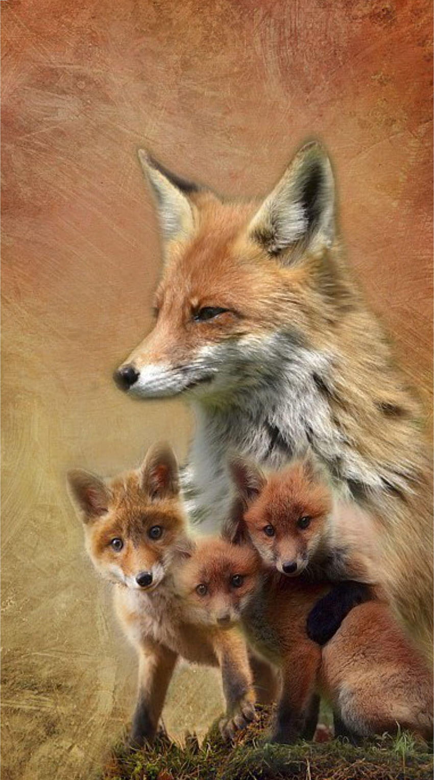 Fox & Wolf for Android、かわいいキツネとオオカミ HD電話の壁紙