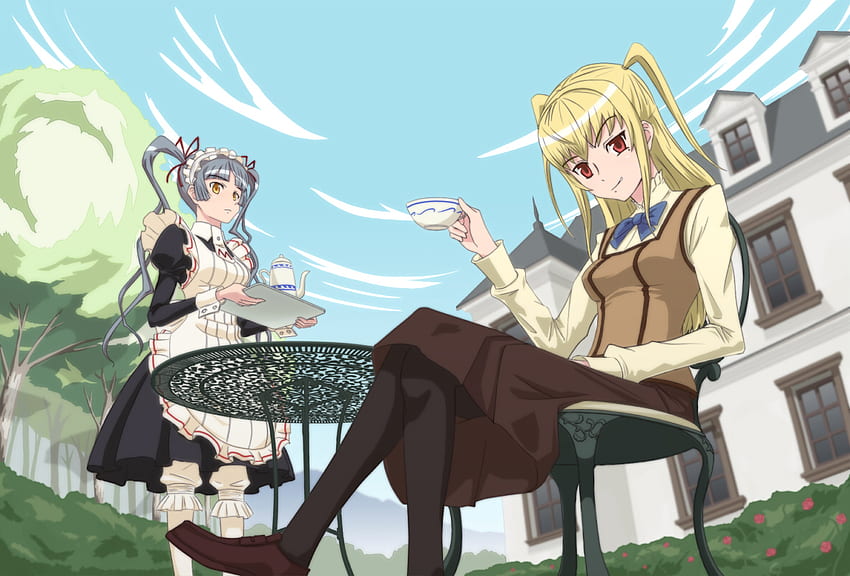 Maria Holic Mariya and Matsurika, maria holic, mariya, matsurika, tea, anime, trap HD wallpaper