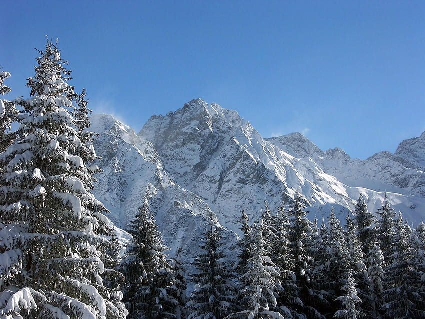 Naturaleza, Montañas, Nieve, Ate, Grandeza, Grandeza fondo de pantalla