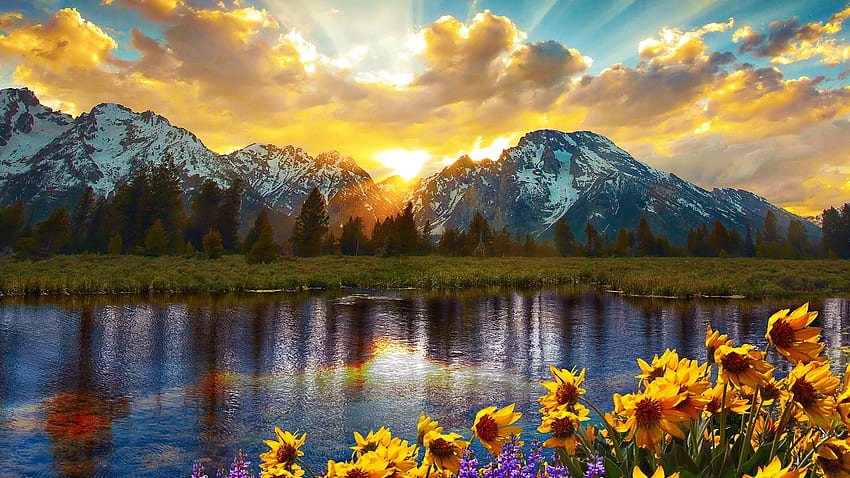 Grand Teton National Park, Wyoming, blossoms, clouds, sky, flowers, water, mountains, reflections, usa HD wallpaper