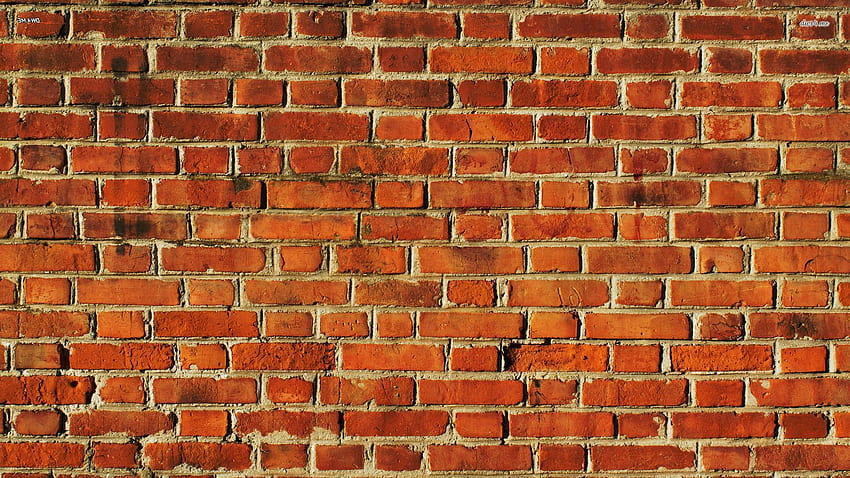 Brick wall . Brick , Brick wall , Brick, Orange Brick HD wallpaper