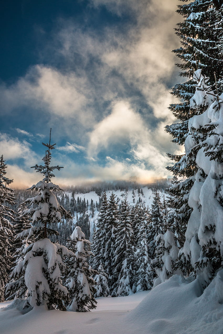Invierno, Naturaleza, Cielo, Montañas, Nieve, Ramas, Ate fondo de pantalla del teléfono