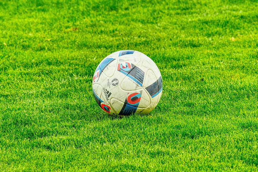 Sports, Grass, Football, Ball, Lawn HD wallpaper