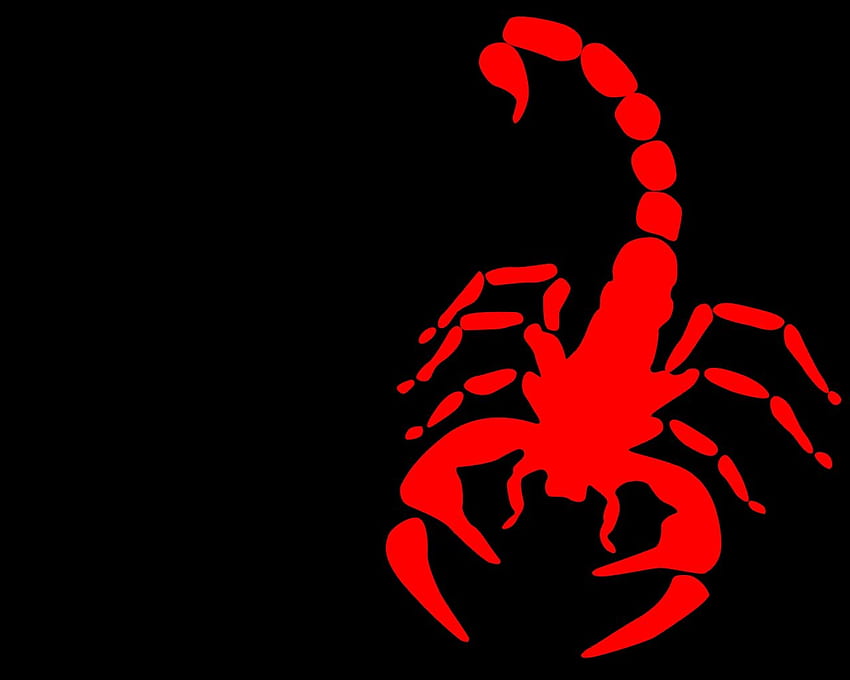 Scorpions, Red Scorpion HD wallpaper