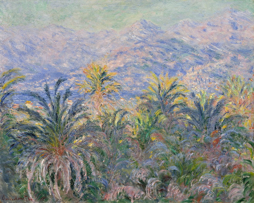Claude Monet , ศิลปะ , ผ้าใบ , เนย , น้ำมัน , ต้นปาล์มใน Bordighera , อิมเพรสชันนิสม์ , ปาล์มใน Bordiger วอลล์เปเปอร์ HD