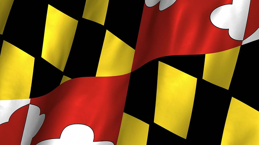 Maryland Bayrağı HD duvar kağıdı