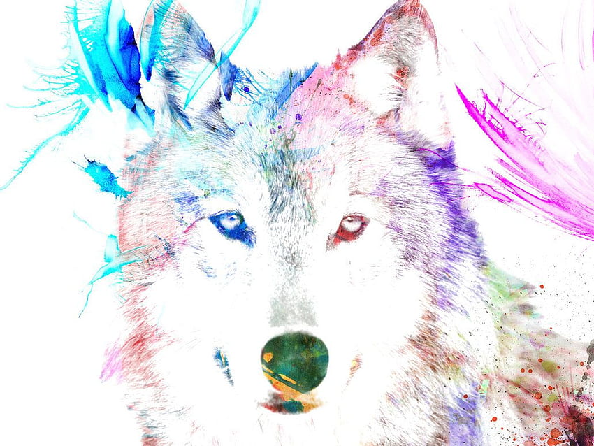 เกี่ยวกับ Wolf In Art DIY โดย Sadie Rosado, Colourful Wolf วอลล์เปเปอร์ HD