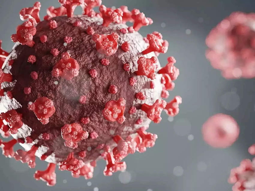 Anstieg der Covid-19-Fälle: Covid19: Omicron Sub Variant BA.2 Weltgesundheitsorganisation warnt vor einer Infektion – Coronavirus in Indien HD-Hintergrundbild