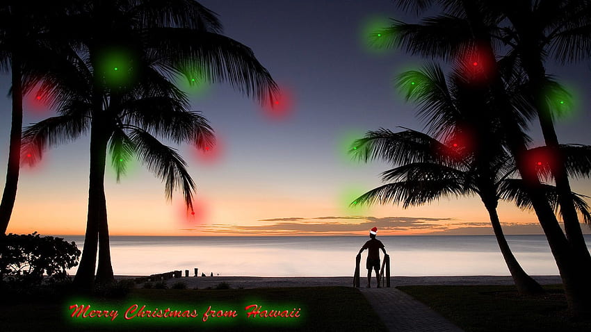 Misc: Christmas Island Palms Lights Holidays Santa Dark Hawaii, Hawaiian Santa HD wallpaper