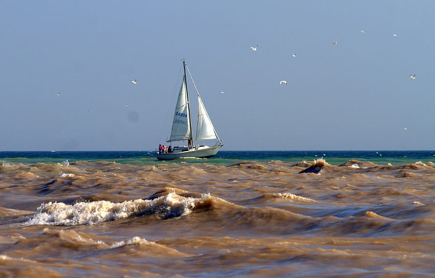 茶色の海、波、茶色、砂、途切れ途切れ、青灰色、帆、空、帆船 高画質の壁紙