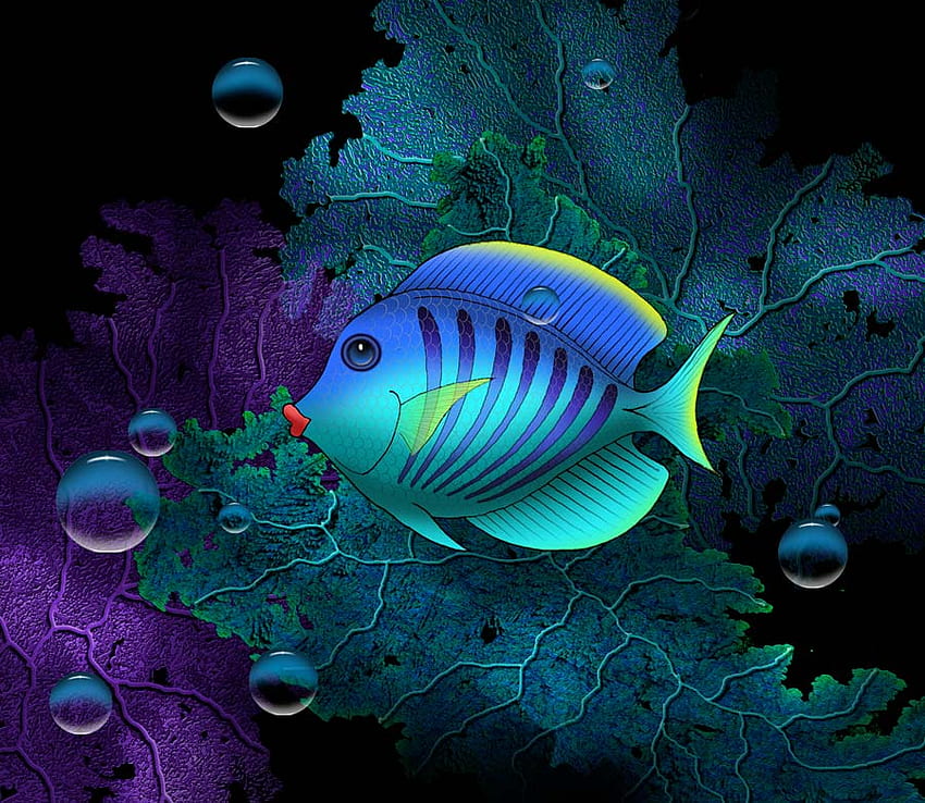 SOLO FISH, colorful, david, fish, solo, miller HD wallpaper