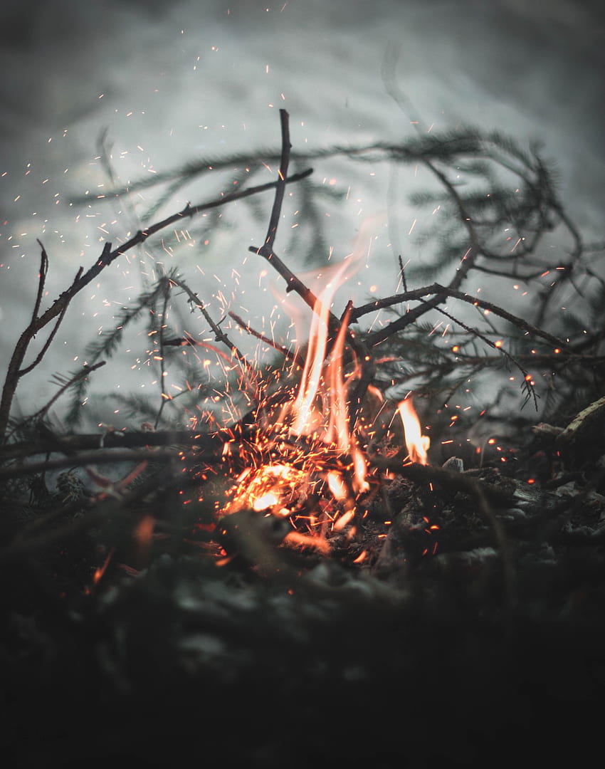 Bonfire, Fire, Sparks, , , Blur, Smooth, Branches HD phone wallpaper