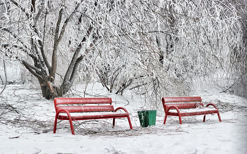 Winter, Nature, Snow, Hoarfrost, Frost, Cold, Benches, Urn HD wallpaper
