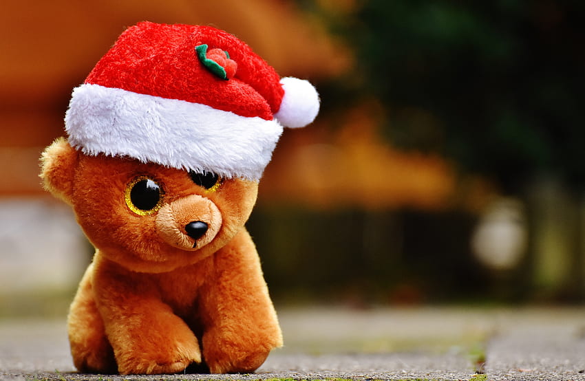 Święta, Miś, Boże Narodzenie, Zabawka Tapeta HD