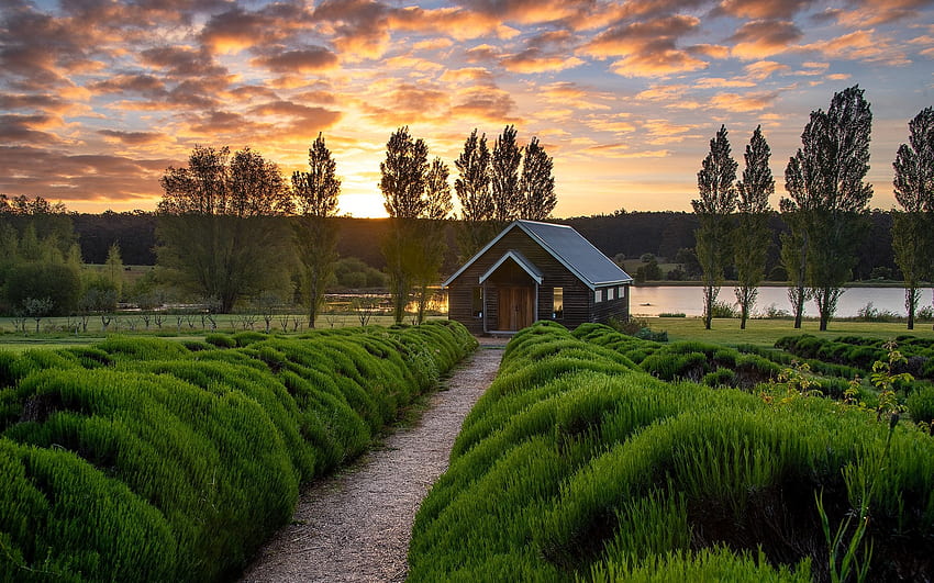 Chapel by Lake, Australie, chemin, lac, Australie, chapelle, arbres, coucher de soleil Fond d'écran HD