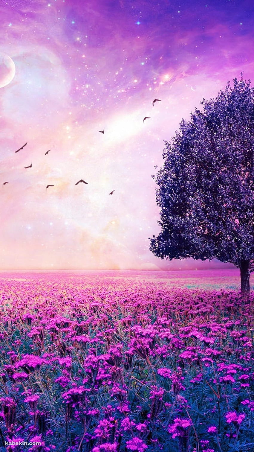 Lila Blumengarten. Landschaft, Natur, lila Blumengarten, violette Natur HD-Handy-Hintergrundbild