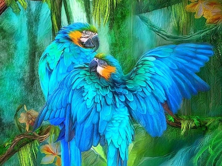 Blue Macaws Snuggle, beloved valentines, birds, attractions in dreams, macaws, forests, blue macaws, snuggle, love four seasons, animals, love HD wallpaper