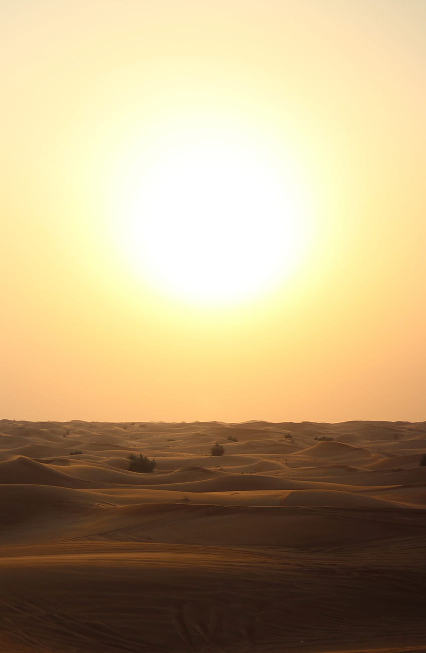sufficient view of the sunset over a dubai desert on summer HD phone wallpaper