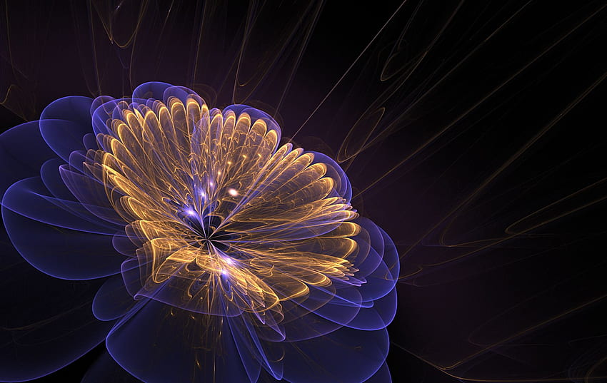 Fractal Flower 2 / 1900 X 1200 .teahub.io HD wallpaper