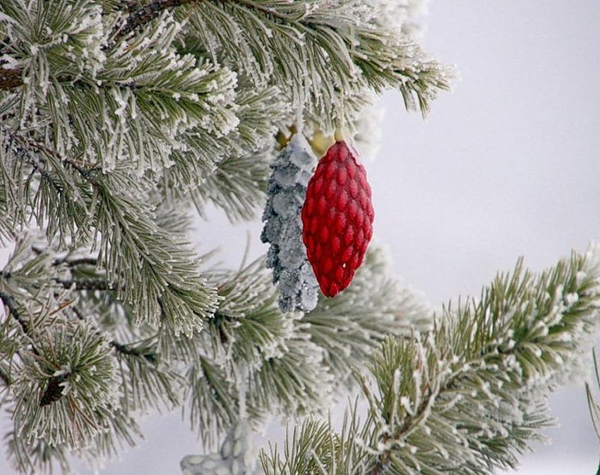 Odd One Out, pretty, snow, christmas, red, bauble, branches, pinecone, tree HD wallpaper