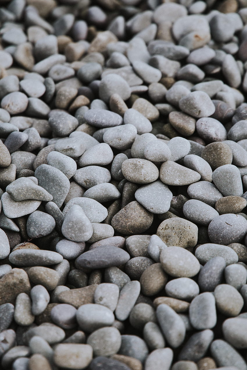 Stones, Pebble, Beach, Coast, Texture, Textures HD phone wallpaper