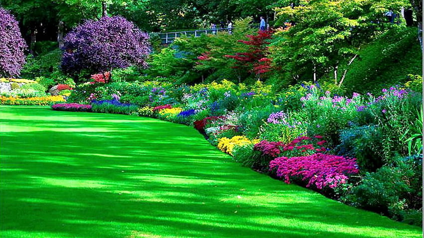 Landscape. Flower garden , Garden , Beautiful flowers garden, Stone Garden HD wallpaper